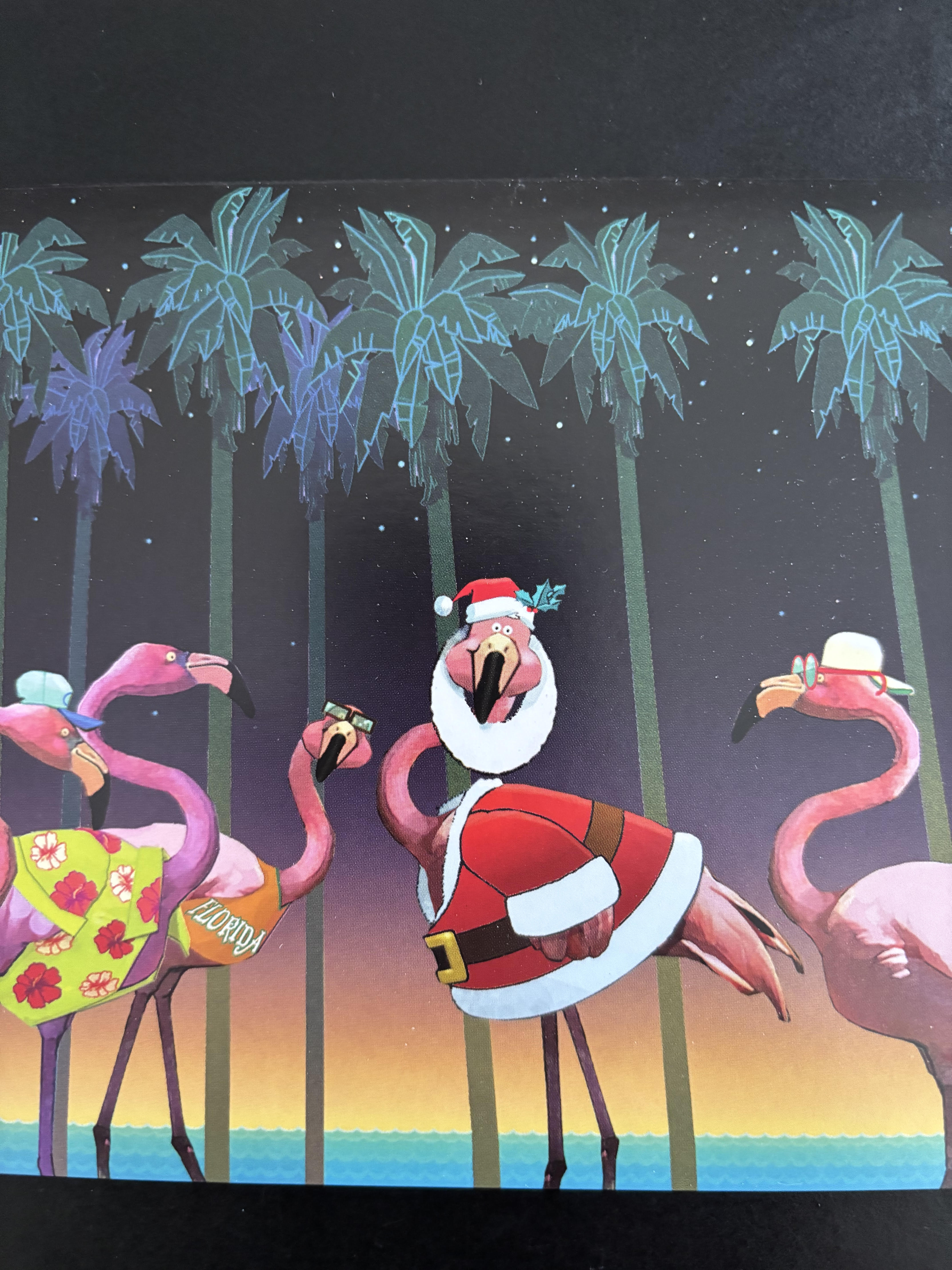 Image Related to the Content on this Web Page